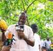 Would President Mahama have reduced cocoa prices if this were an election year ? – Annoh Dompreh asks